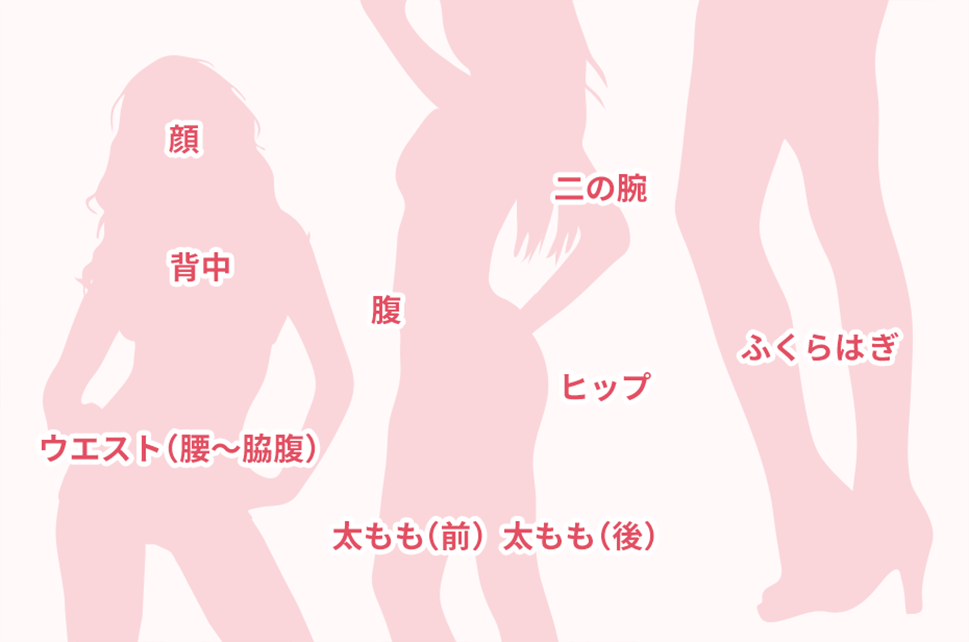 サーモシェイプのトリートメント可能部位