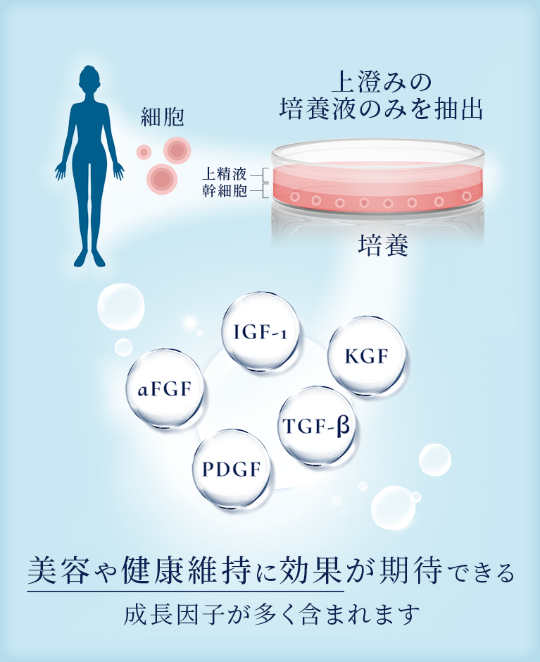 エクソソームとは